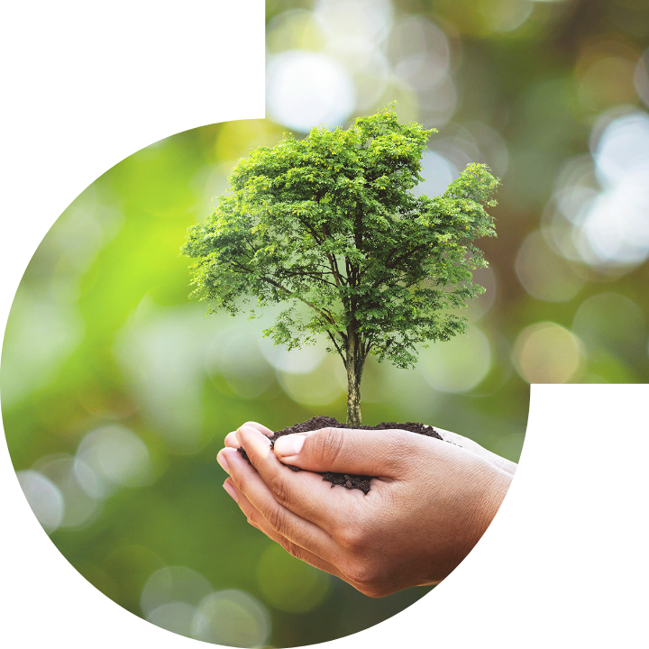 關懷人類、文化、環境與社會